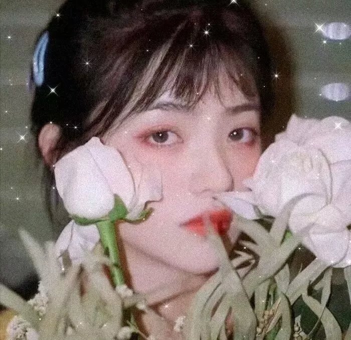献给阿尔吉侬的花束